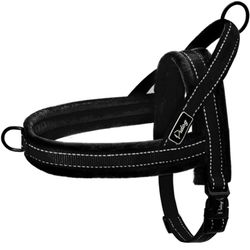 Dog Harness