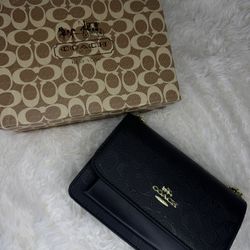 coach purse with cherry