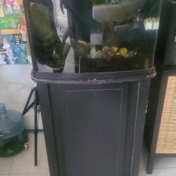BioCube Fish Tank