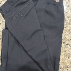 Dickies Pant
