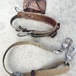 Belt Buchingham