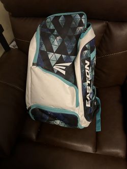 Backpack, Helmet, Face guard And Glove