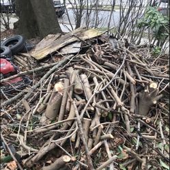 FIRE. WOOD.     FREE.  