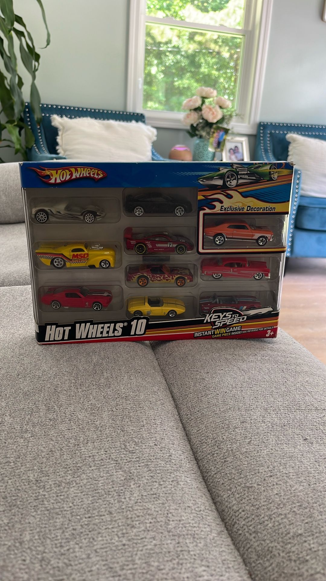 Hot Wheels 10 Pack 2010