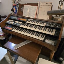 Free Organ