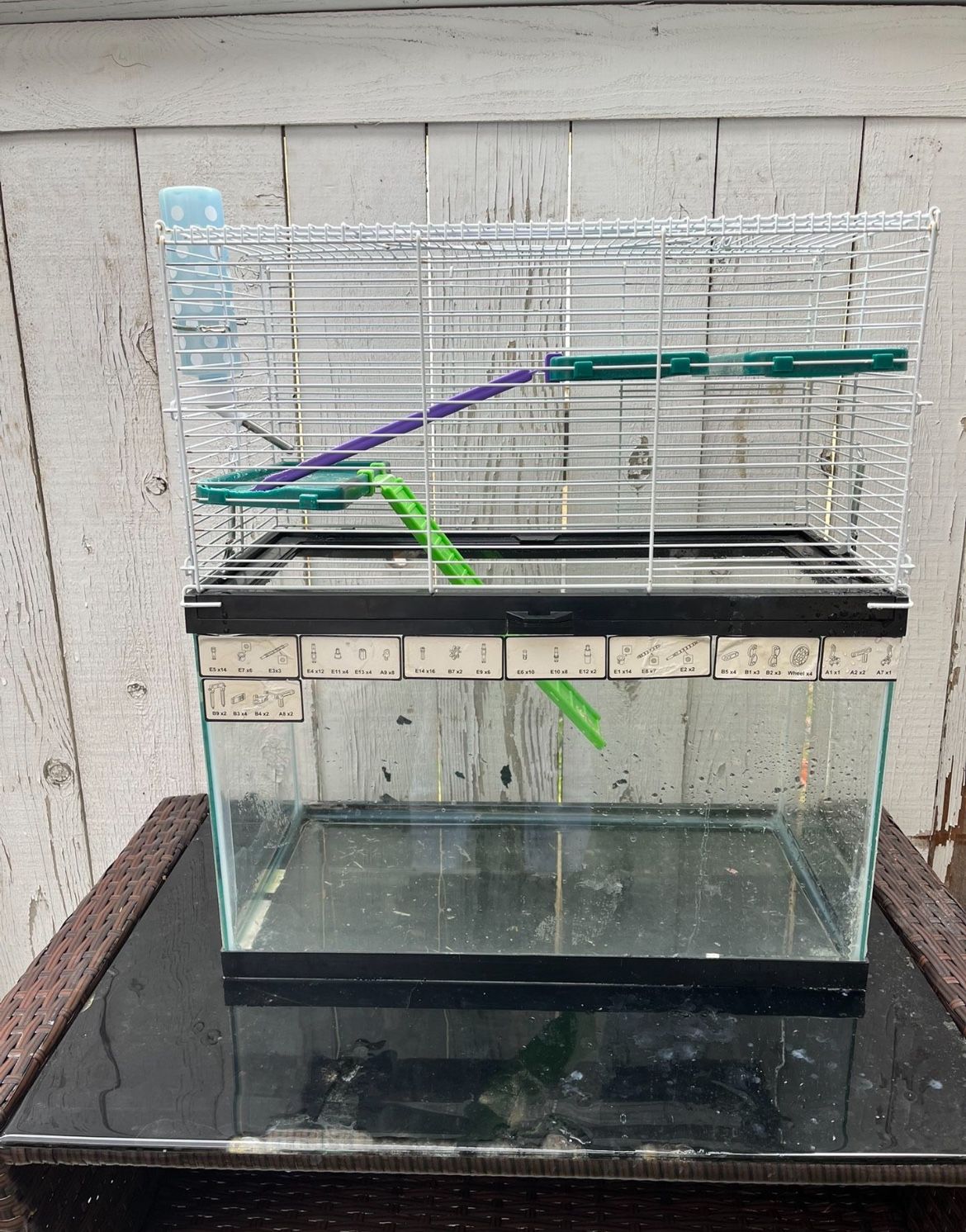 Fish Tank/hamster Tank