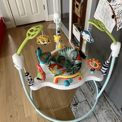 Fisher Price Baby Jumper And Activity Center 