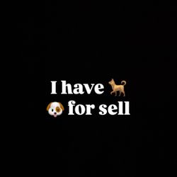 Hit Me For More Details Send Number