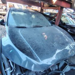 2016-2021 Honda Civic 2.0L Hood