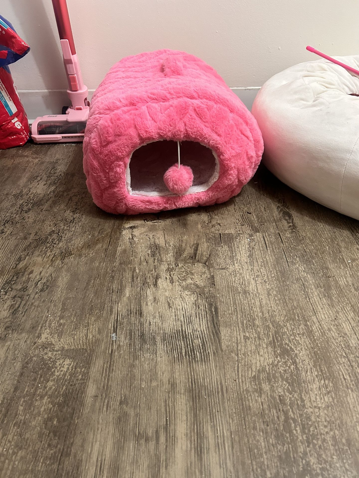 Cat Bed!
