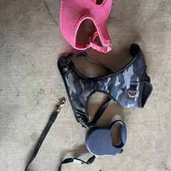 Dog Leash And Harness $20 Bundle