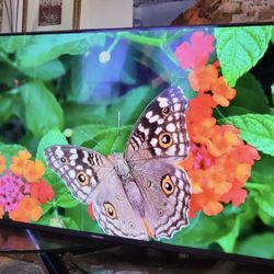 43" Hisiense Roku Smart Tv 4k Excellent Condition Less Than Year Old.  No Legs It Was Mounted.  Great Quality Pic No Scratch 