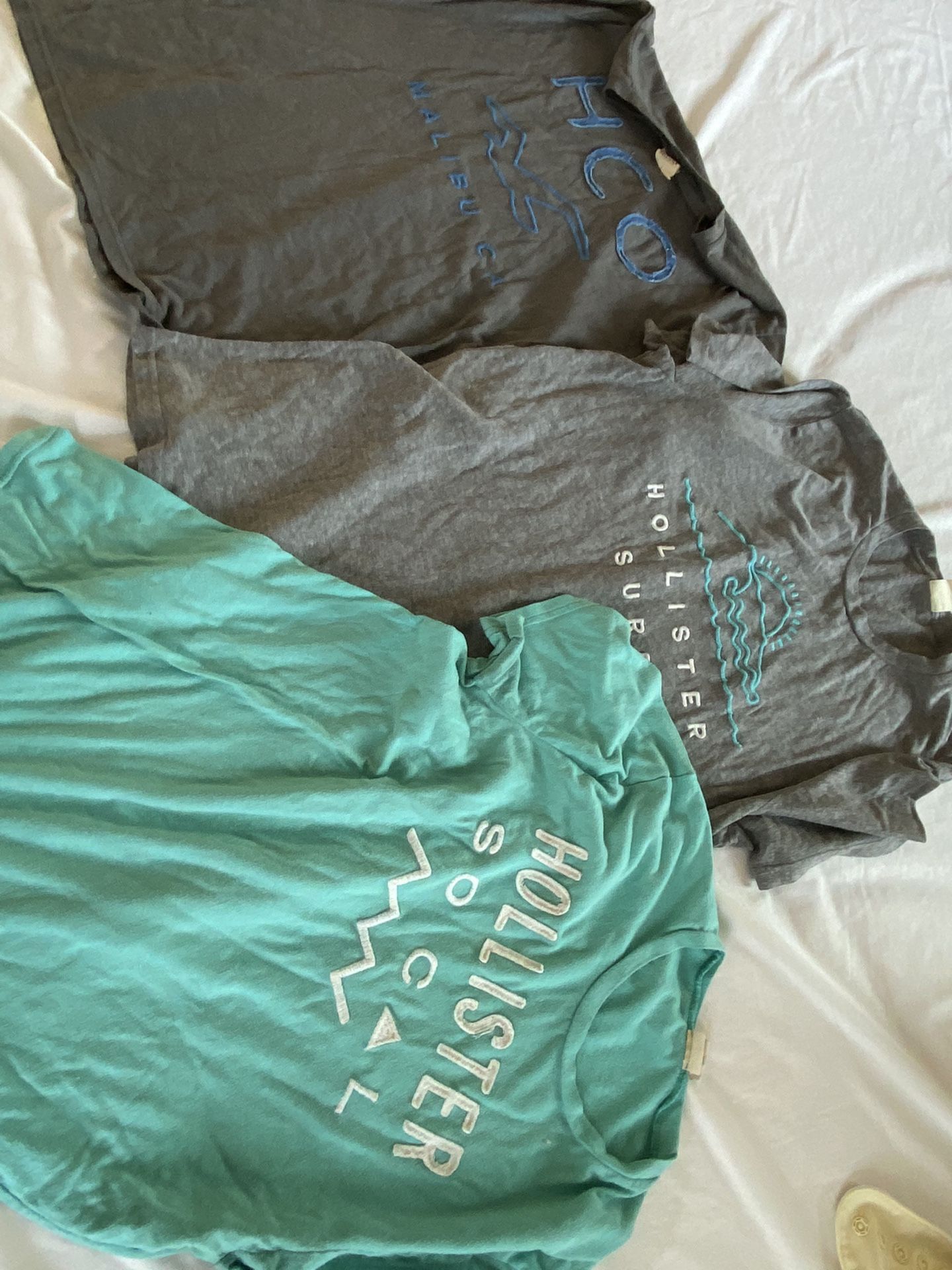 Hollister larges