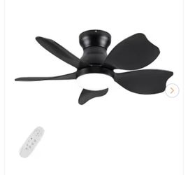 Ceiling Fan
