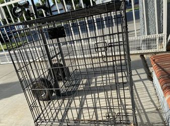 Cage/Jaula