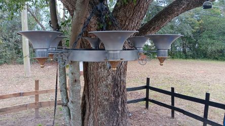 Indoor/ Outdoor Chandelier