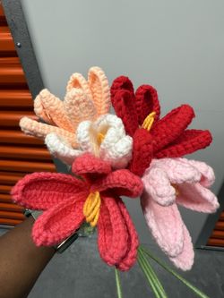 Crochet Tulips