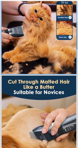 Pet grooming clipper