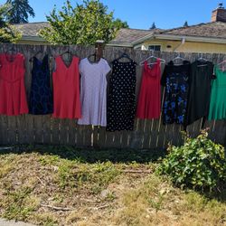 Plus Size Dress Sale!!! XL-4X Plus Bras, Tops,Etc