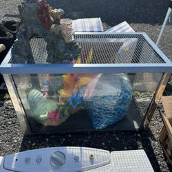 Small Fish Tank 