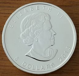 $5 2013 Silver Coin