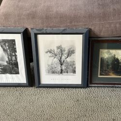 Ansel Adams picture/frames