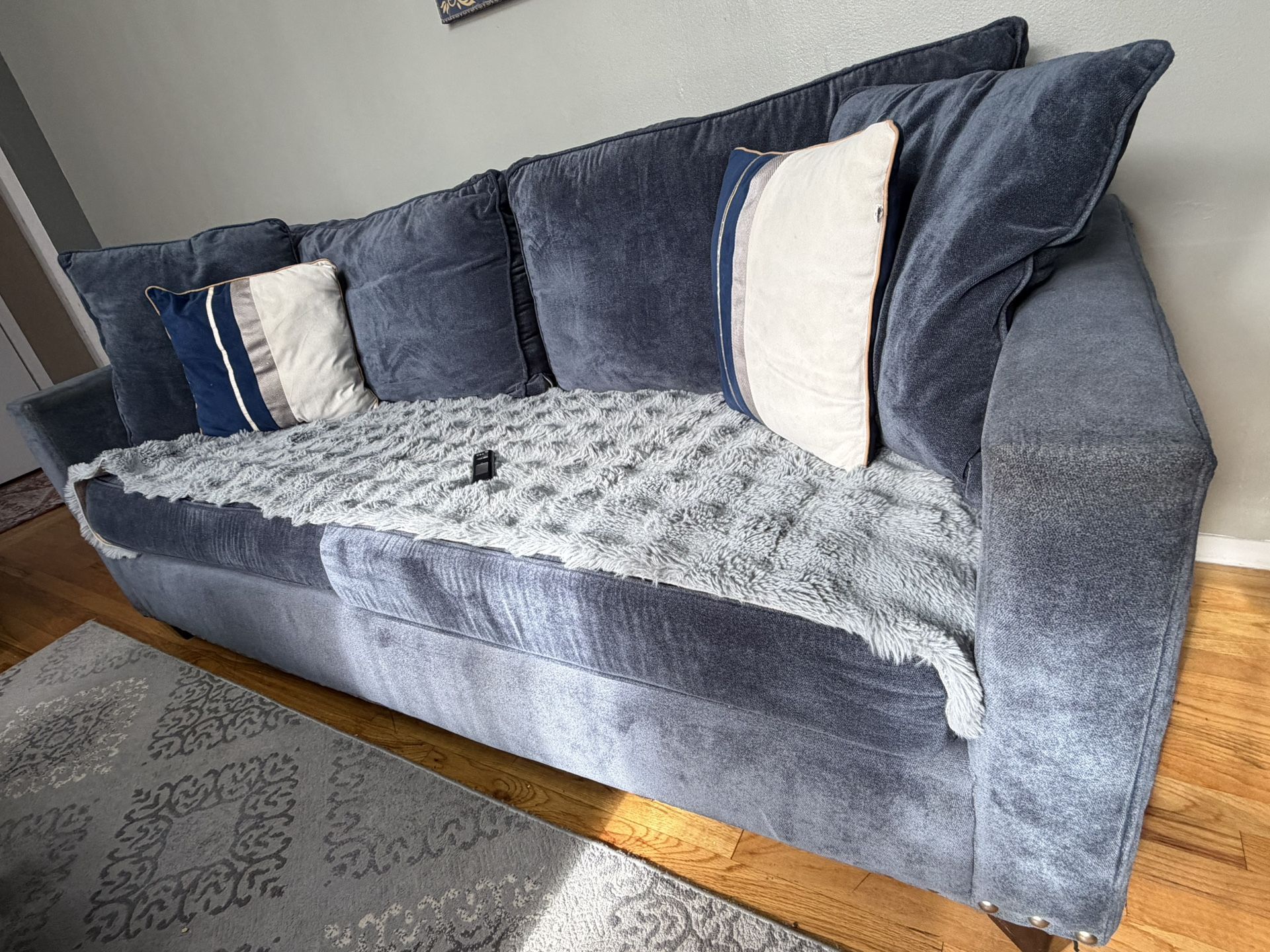 couches,sofa,table, carpet