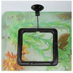 Aquarium Fish Tank Ring Tray Feeder Fish Feeding Square/Circle Floating Food Hot