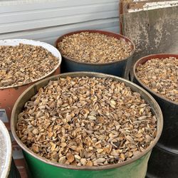 Almond Shell Feed