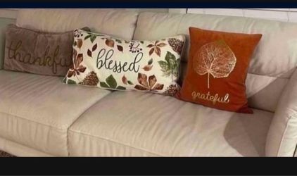 Fall/thanksgiving pillows