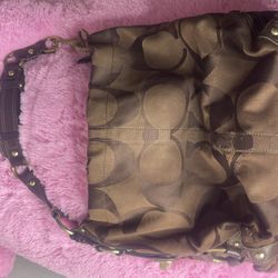 Coach Carly Hobo Bag 