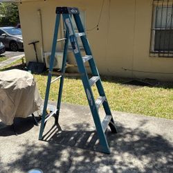 6’ Fiberglass Ladder (WERNER)