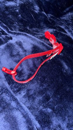 Small Puppy Collar