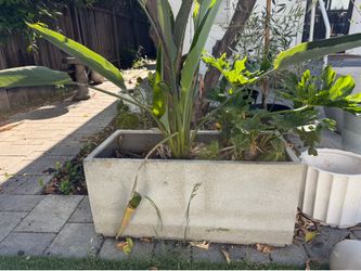 CB2 Rectangular Concrete Style Planter – Large
