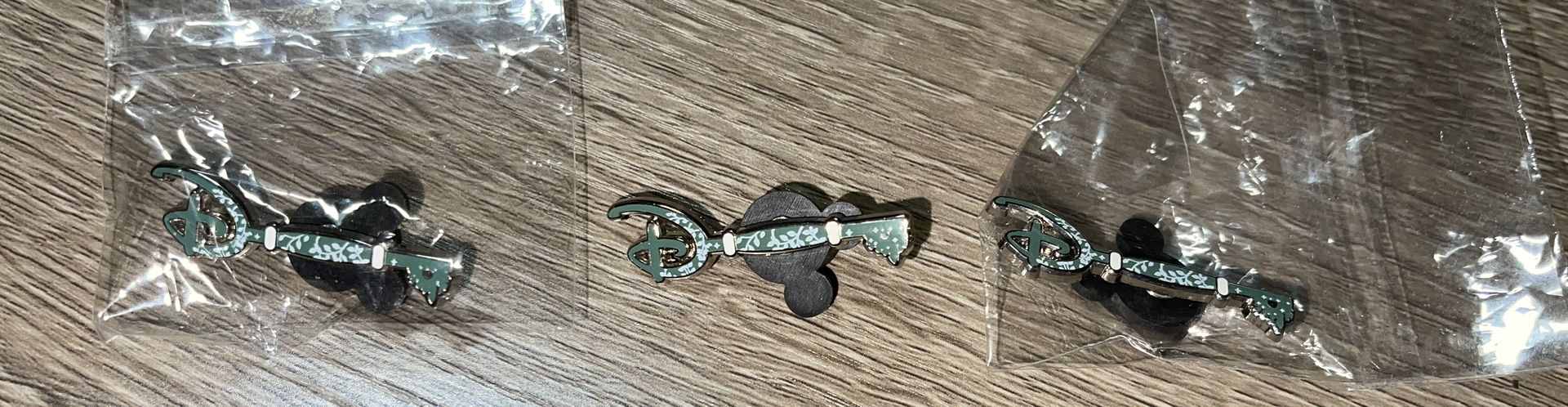 RARE CM Disney Vine Key Pin