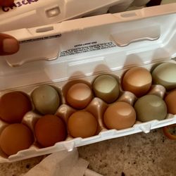 Farm Fresh Eggs