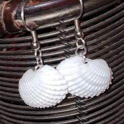 Seashell Earrings