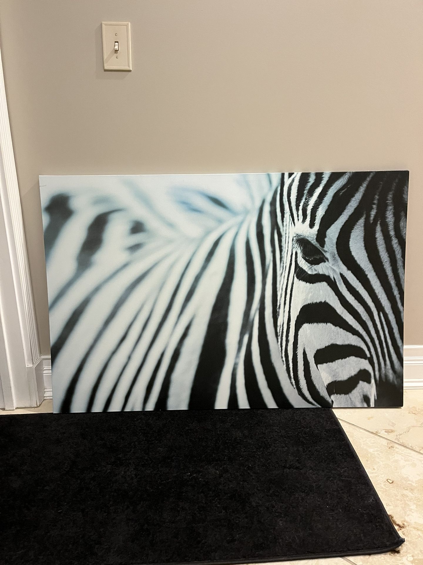 Zebra Canvas