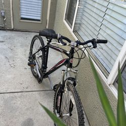Three Bikes For Sale