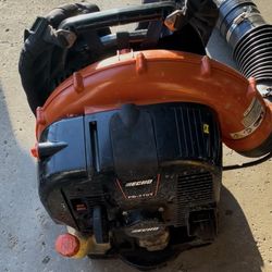 Leaf blower and weed trimmer Echo