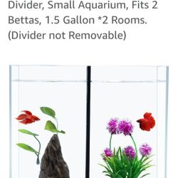 3 Gallon Betta Fish Tank with Divider