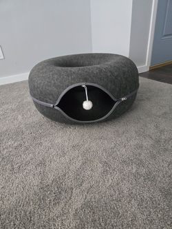 Cat cave donut