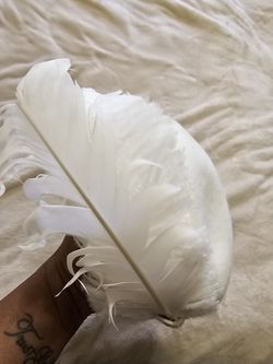 Off White Church Hat With Feather Detail