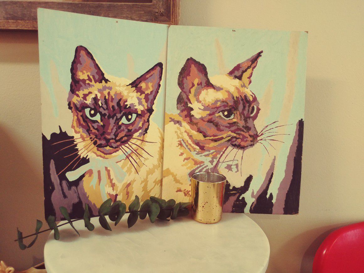 PBN Siamese cats