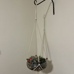 Hanging Artificial Succulent Garden