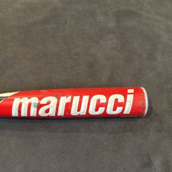 Marucci BBC SDX EXT 33” Wooden Bat 