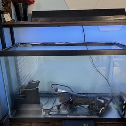 30 Gal Tank With Accesories