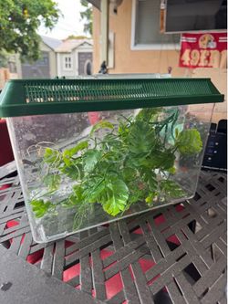 Panther chameleon cage