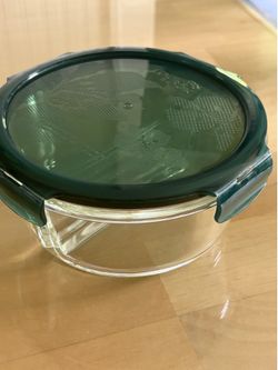 Lock & Lock Divided Glass Food Storage Container