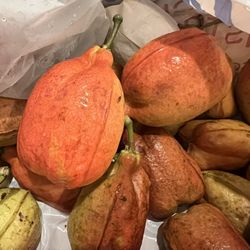 Seso vegetal Akee Fruit - Seso Vegetal